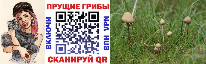 Псилоцибиновые грибы MAGIC MUSHROOMS Змеиногорск